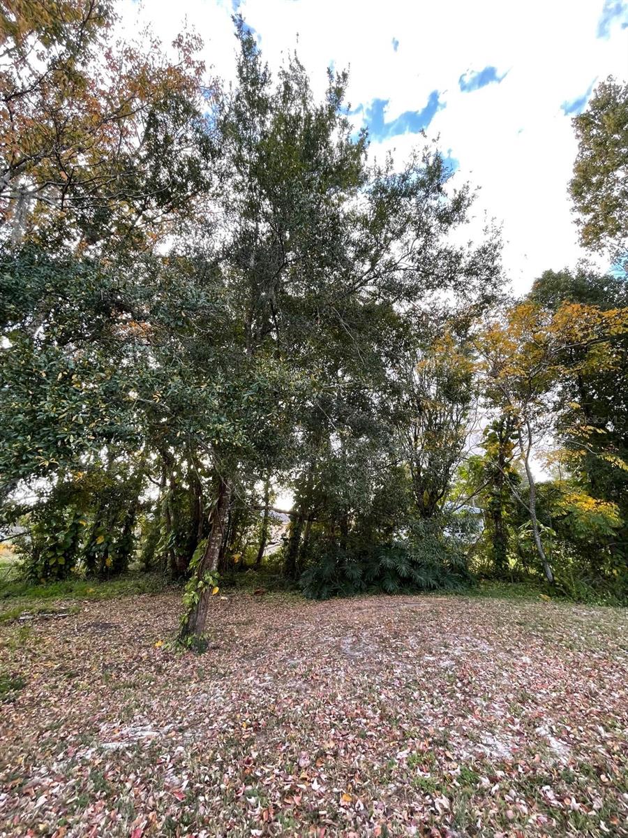 840 GERANIUM AVE, ORLANDO, FL, 32828