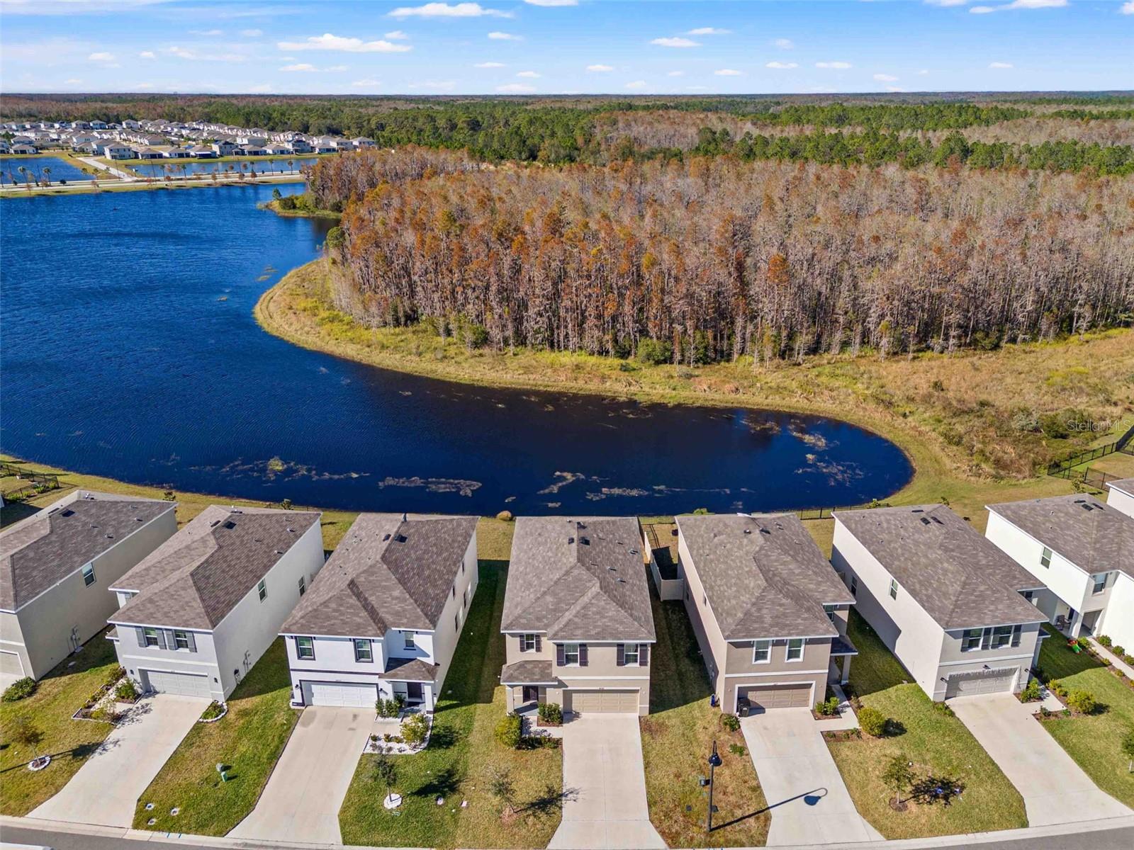 16209 WEATHERED WINDMILL TER, ODESSA, FL, 33556