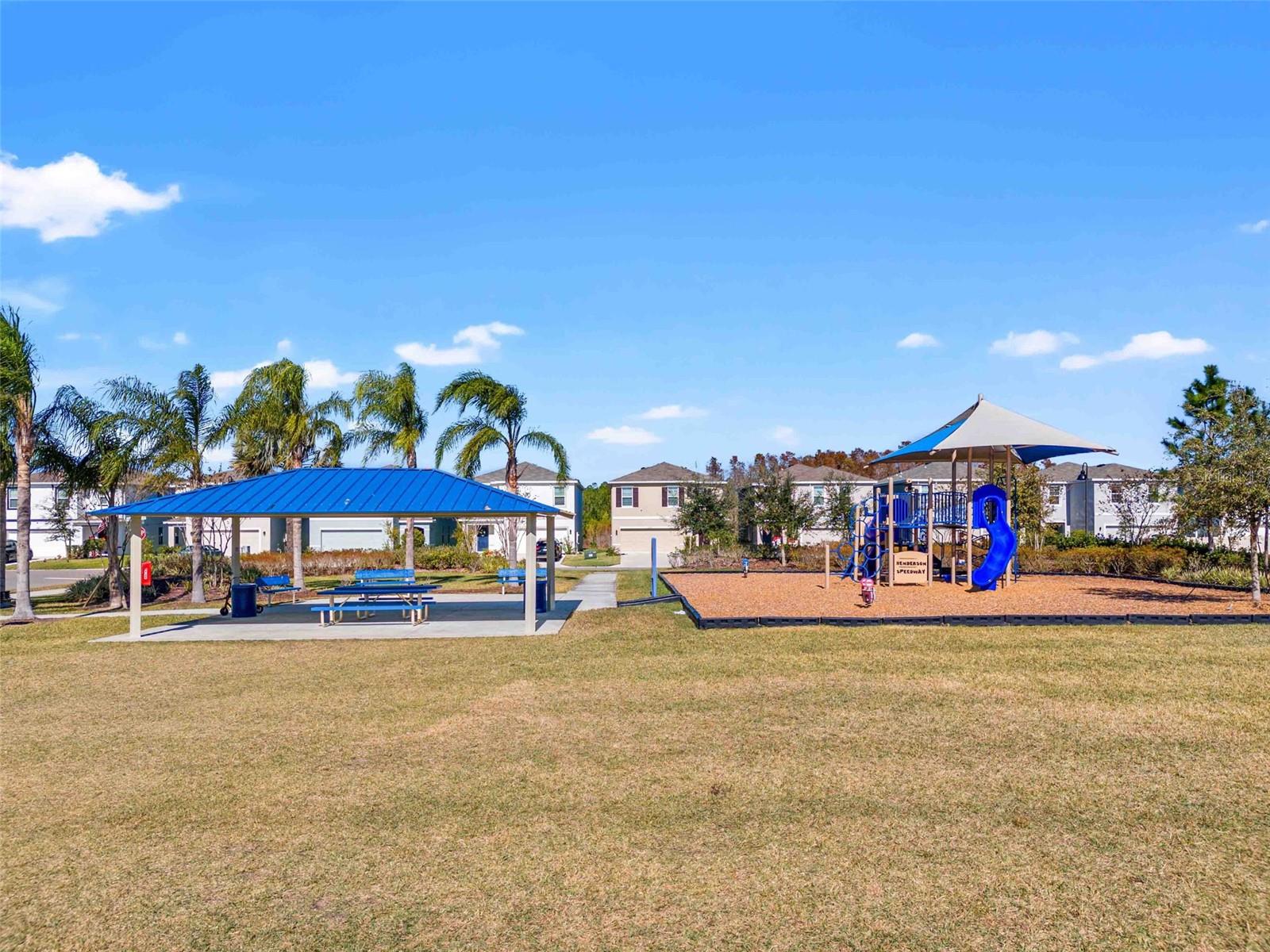 16209 WEATHERED WINDMILL TER, ODESSA, FL, 33556