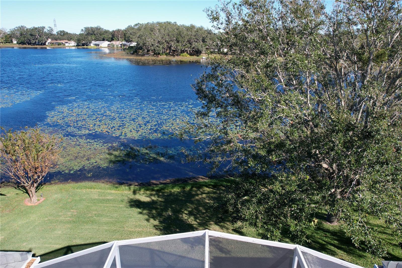 25516 LAUREL VALLEY RD, LEESBURG, FL, 34748