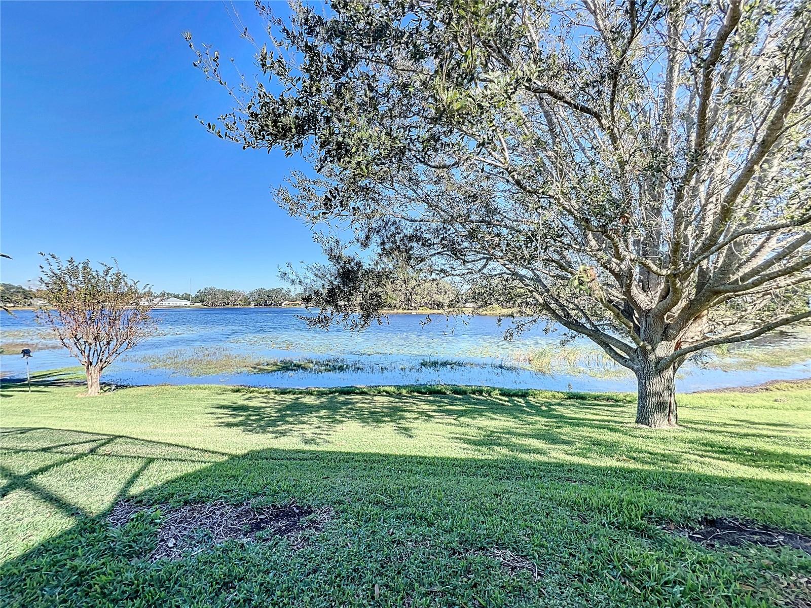 25516 LAUREL VALLEY RD, LEESBURG, FL, 34748