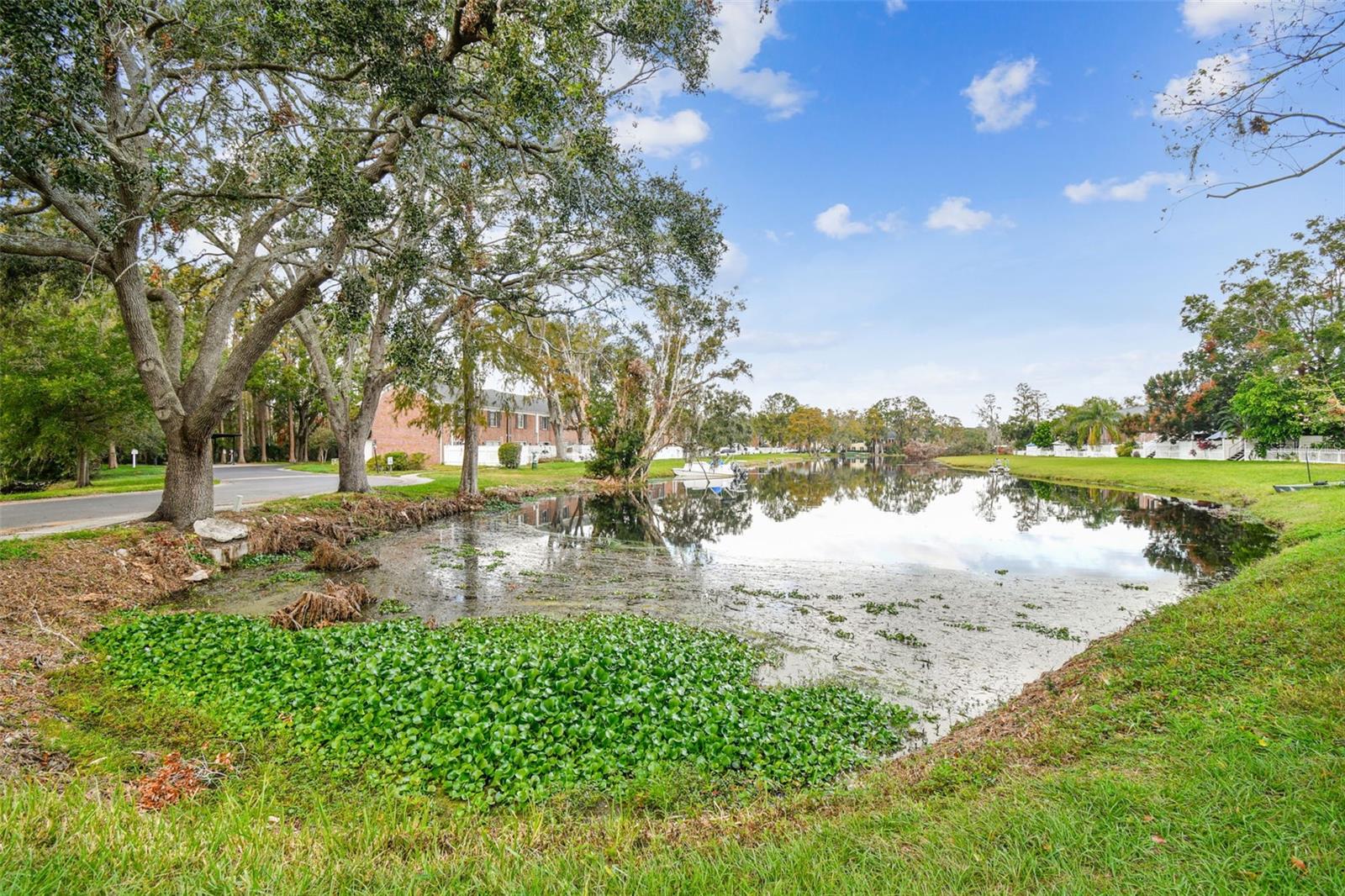13682 ORANGE SUNSET DR #102, TAMPA, FL, 33618