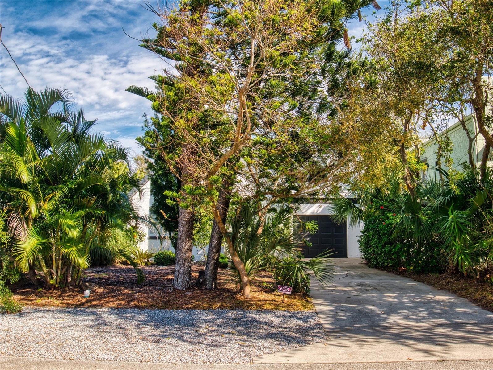 6353 RIVER RD, NEW SMYRNA BEACH, FL, 32169