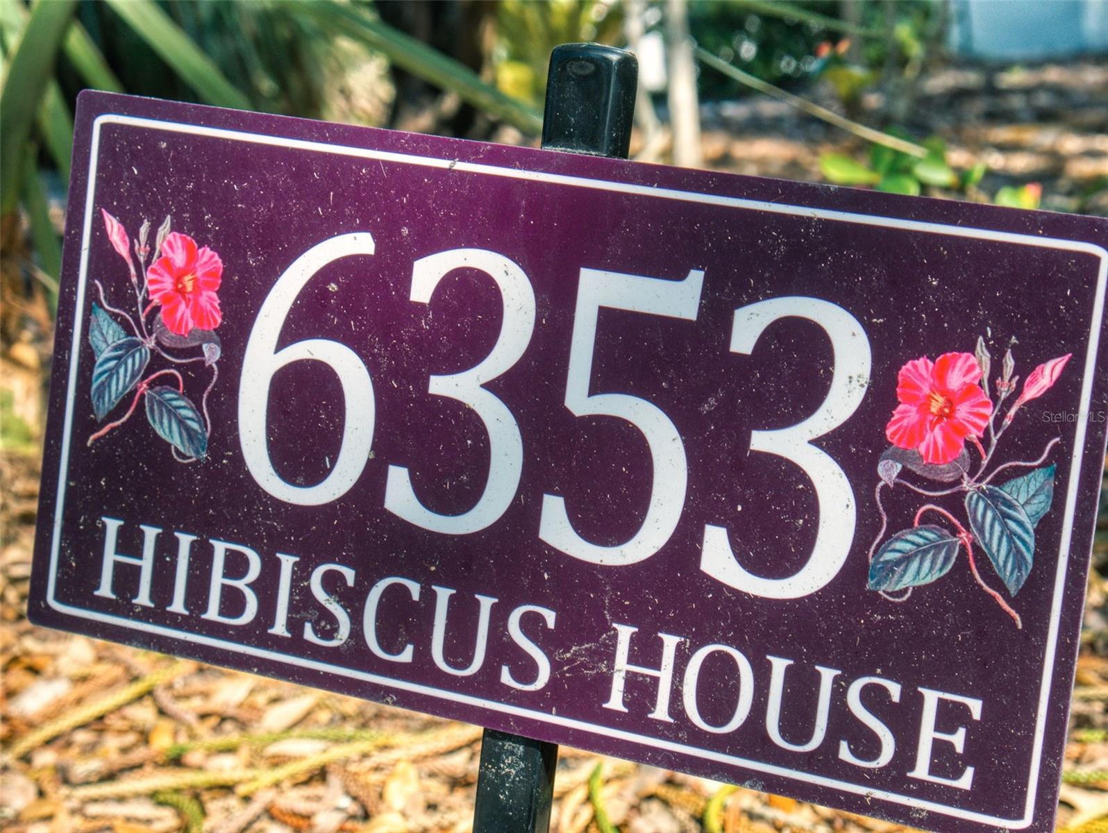 6353 RIVER RD, NEW SMYRNA BEACH, FL, 32169