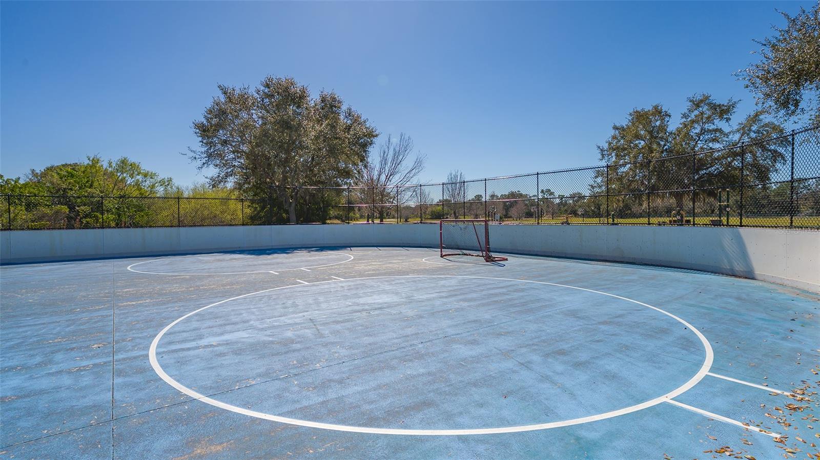 6476 ROYAL TERN CIR, LAKEWOOD RANCH, FL, 34202