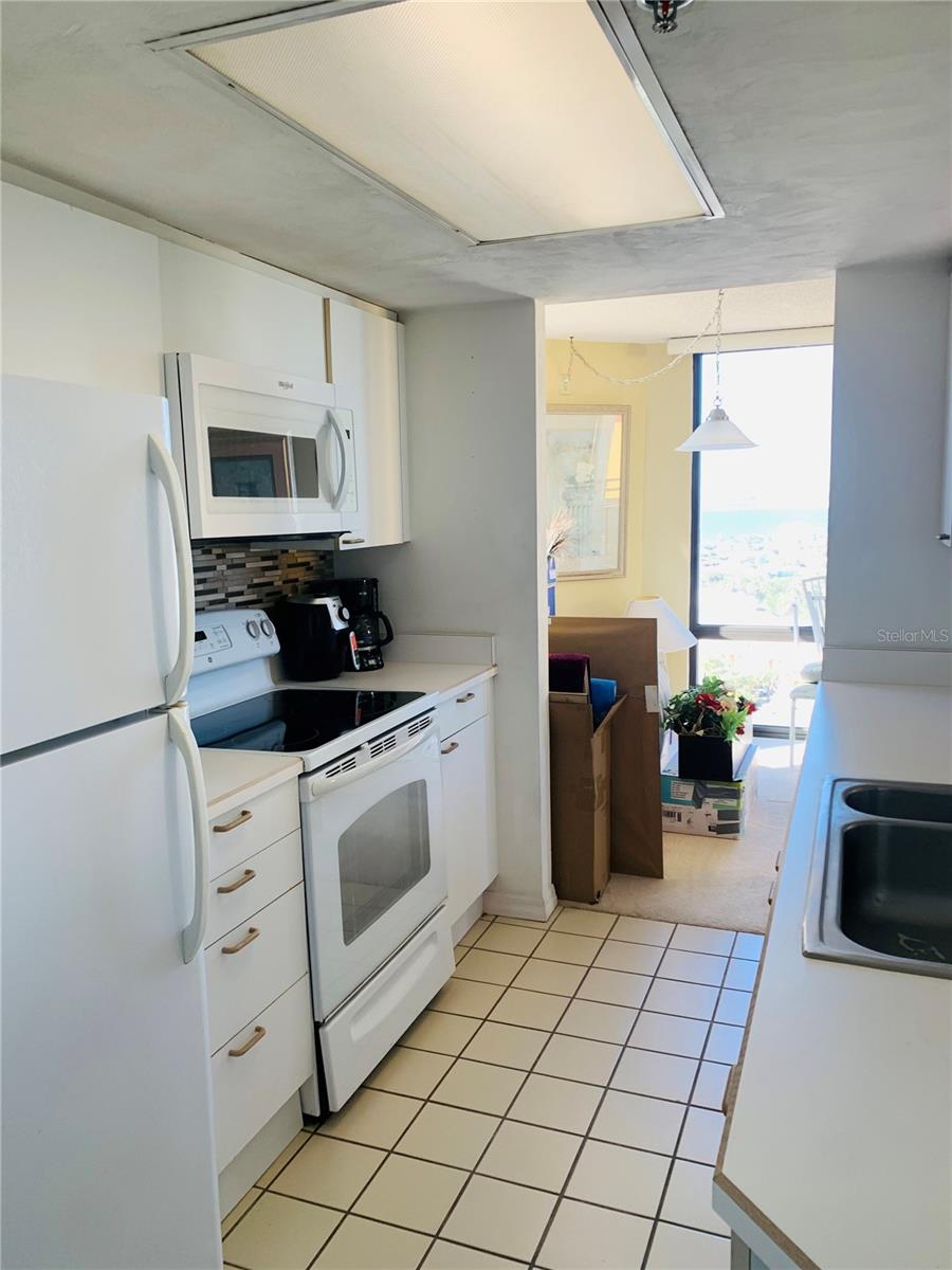 2917 S ATLANTIC AVE #1101, DAYTONA BEACH SHORES, FL, 32118