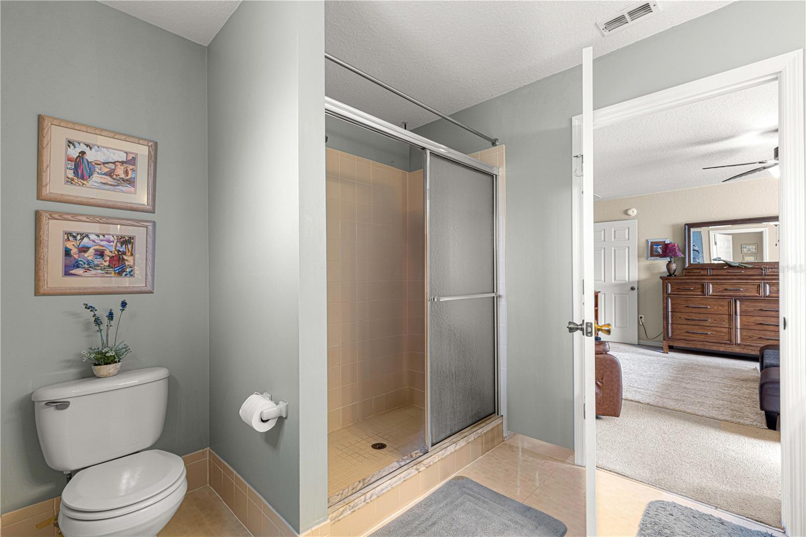 13746 SE 88TH AVE, SUMMERFIELD, FL, 34491