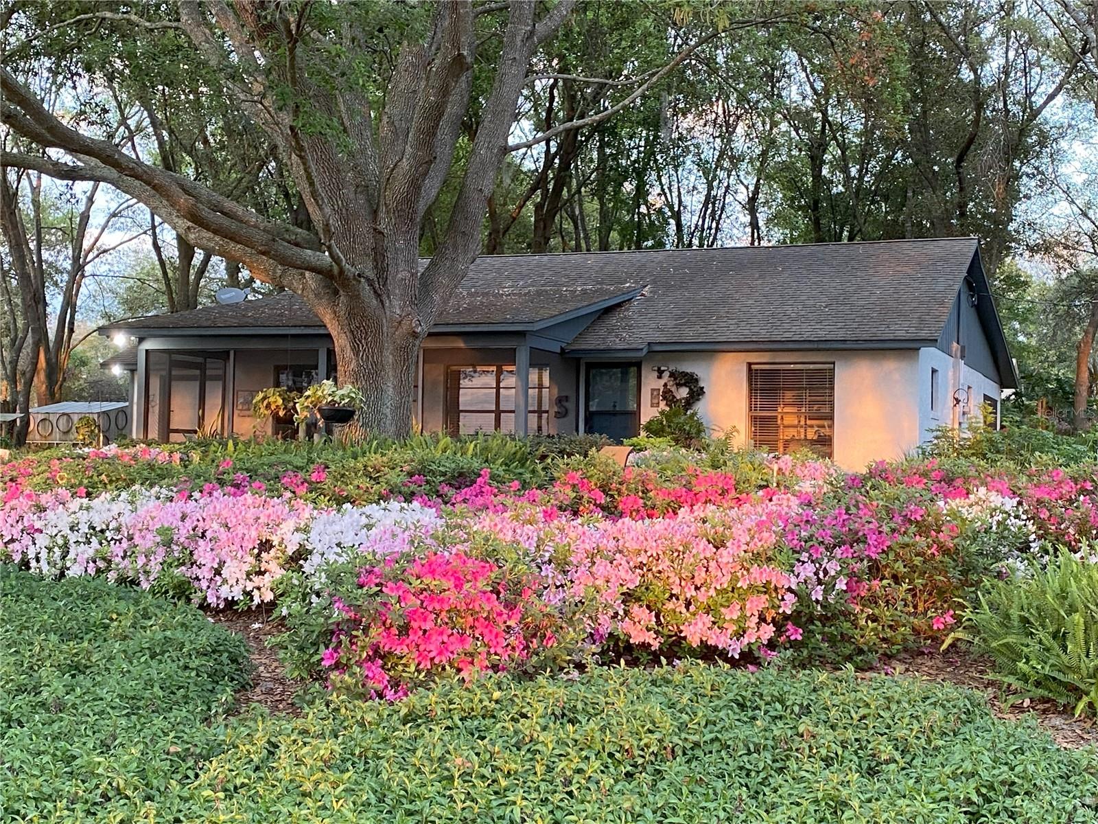 18200 E APSHAWA RD, CLERMONT, FL, 34715