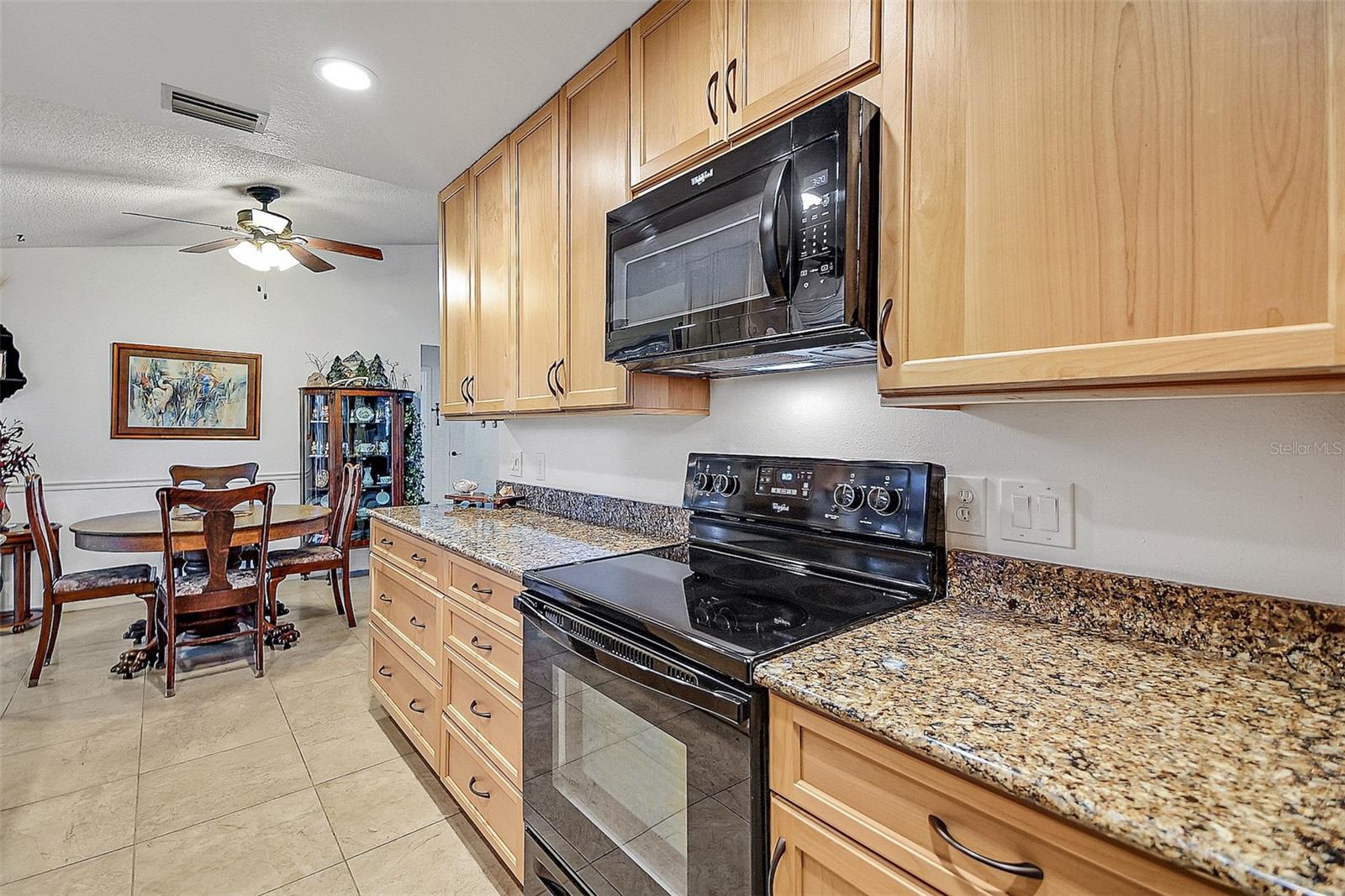 18200 E APSHAWA RD, CLERMONT, FL, 34715