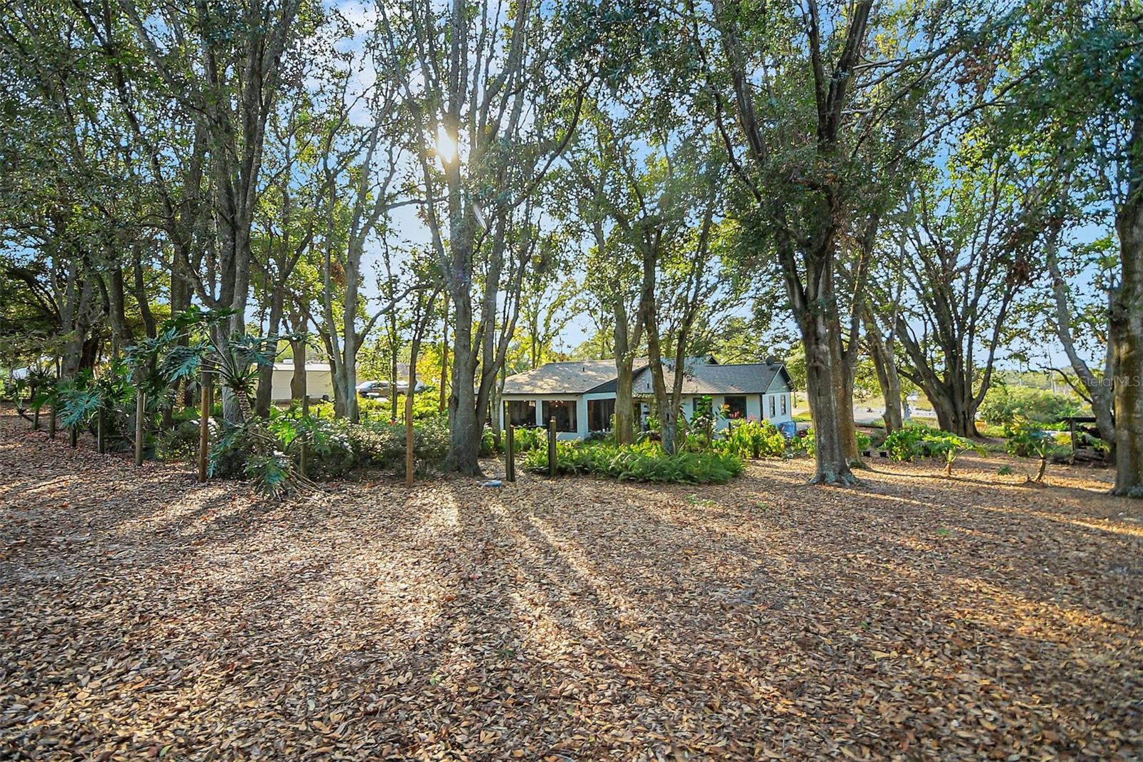 18200 E APSHAWA RD, CLERMONT, FL, 34715