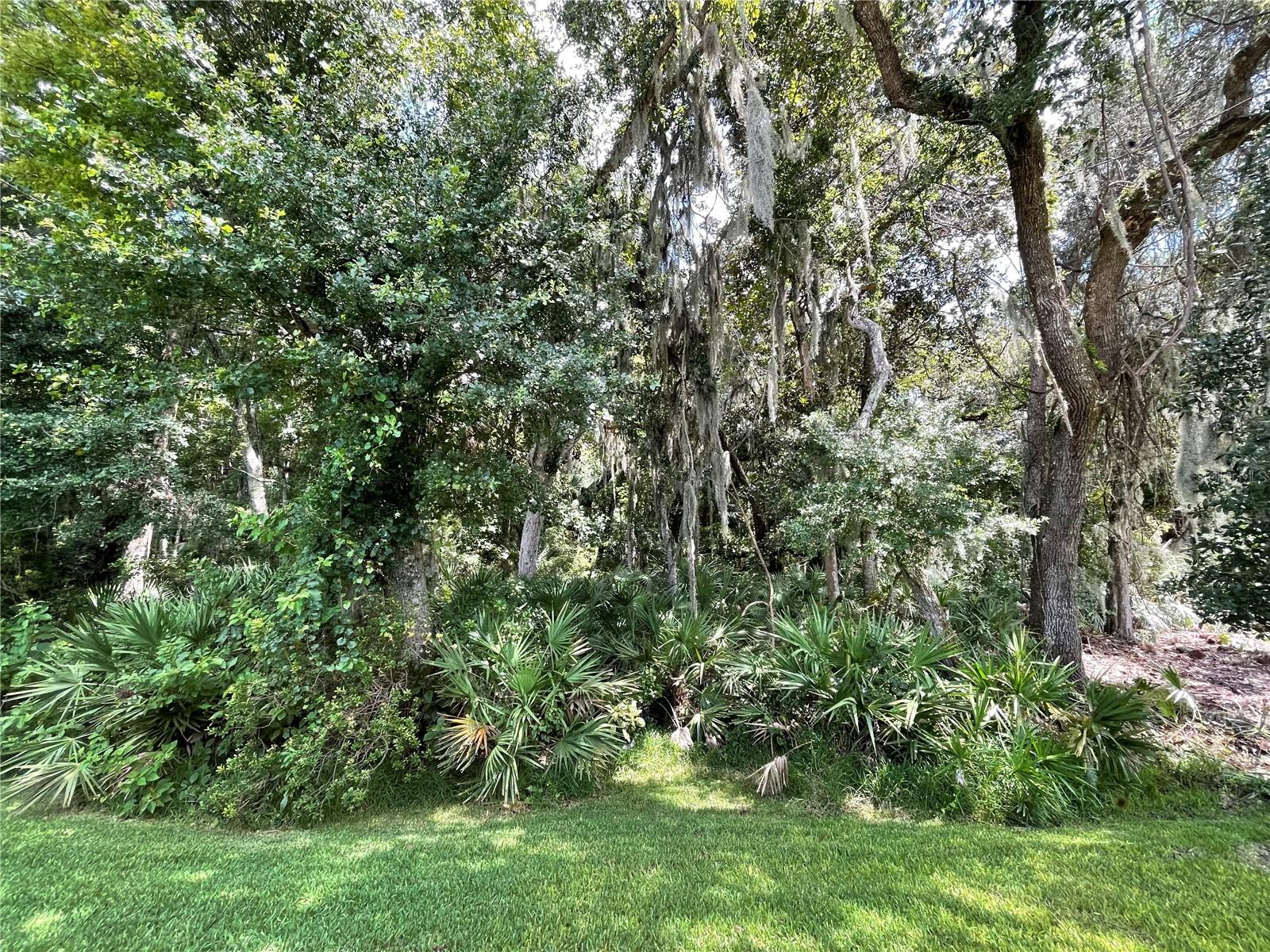 11 GRAHAM WOODS PL, PALM COAST, FL, 32137