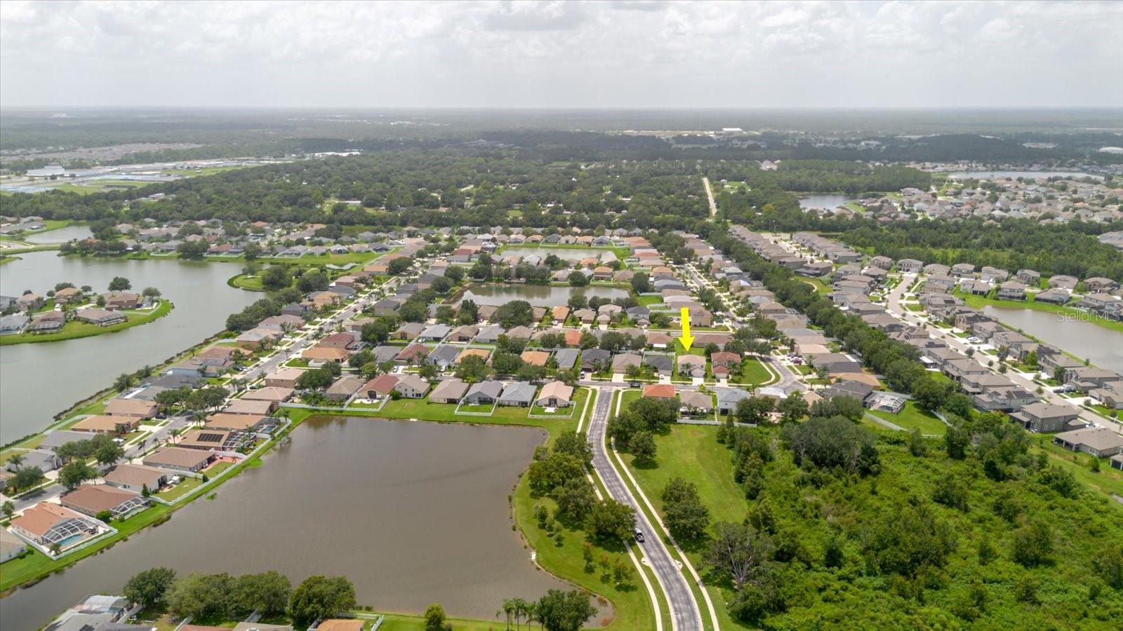 7423 PULTENEY DR, WESLEY CHAPEL, FL, 33545