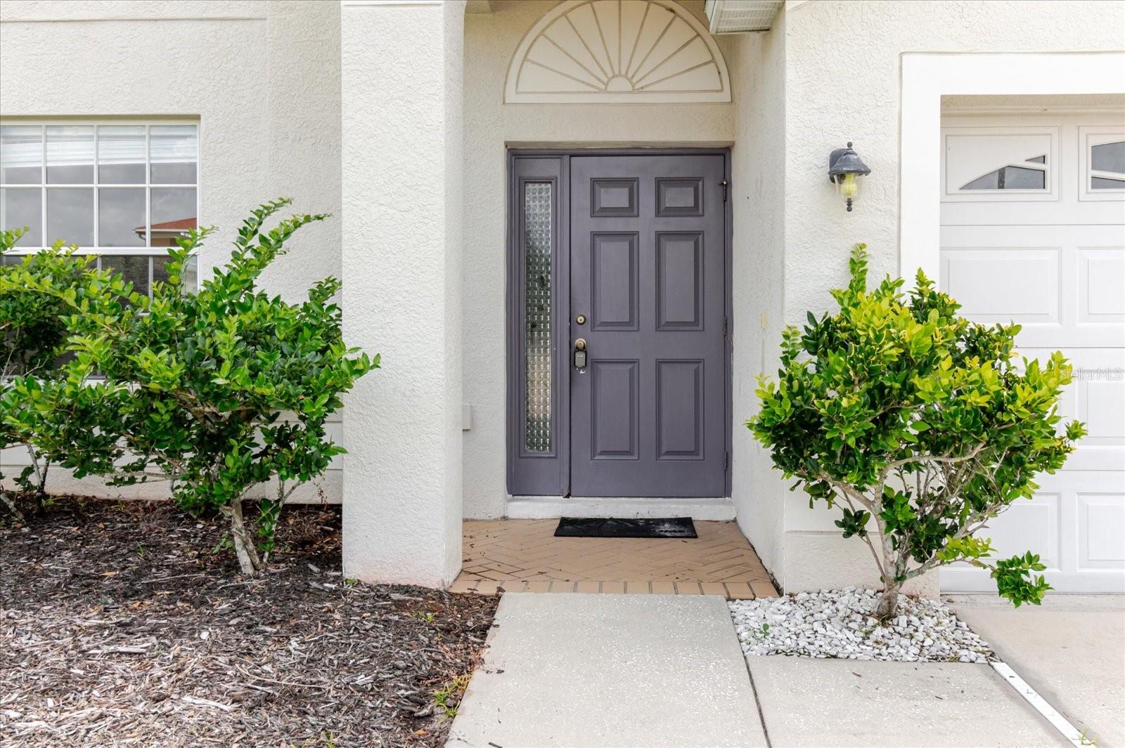 7423 PULTENEY DR, WESLEY CHAPEL, FL, 33545