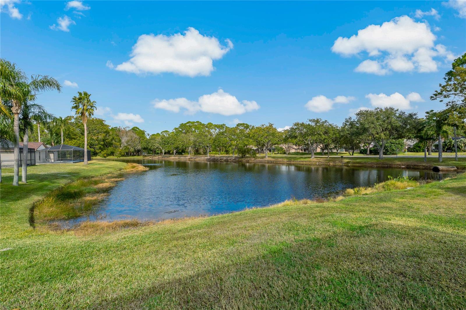 591 WATERFORD CIR W, TARPON SPRINGS, FL, 34688