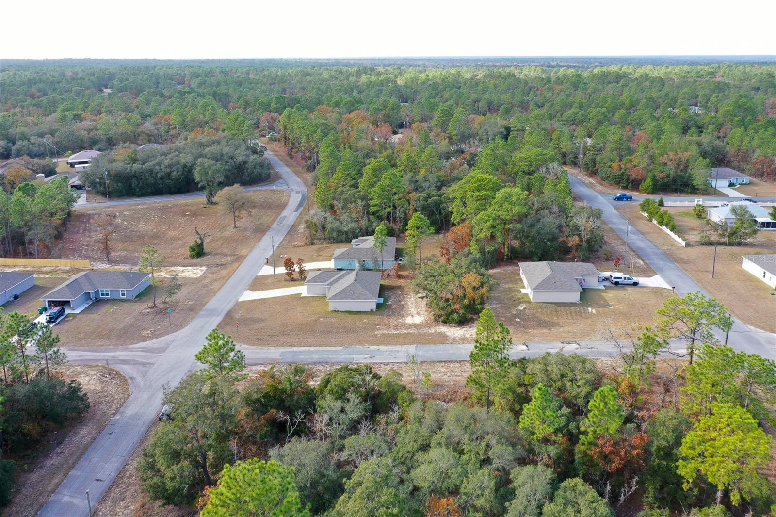 3249 W DITTANY DR, CITRUS SPRINGS, FL, 34433