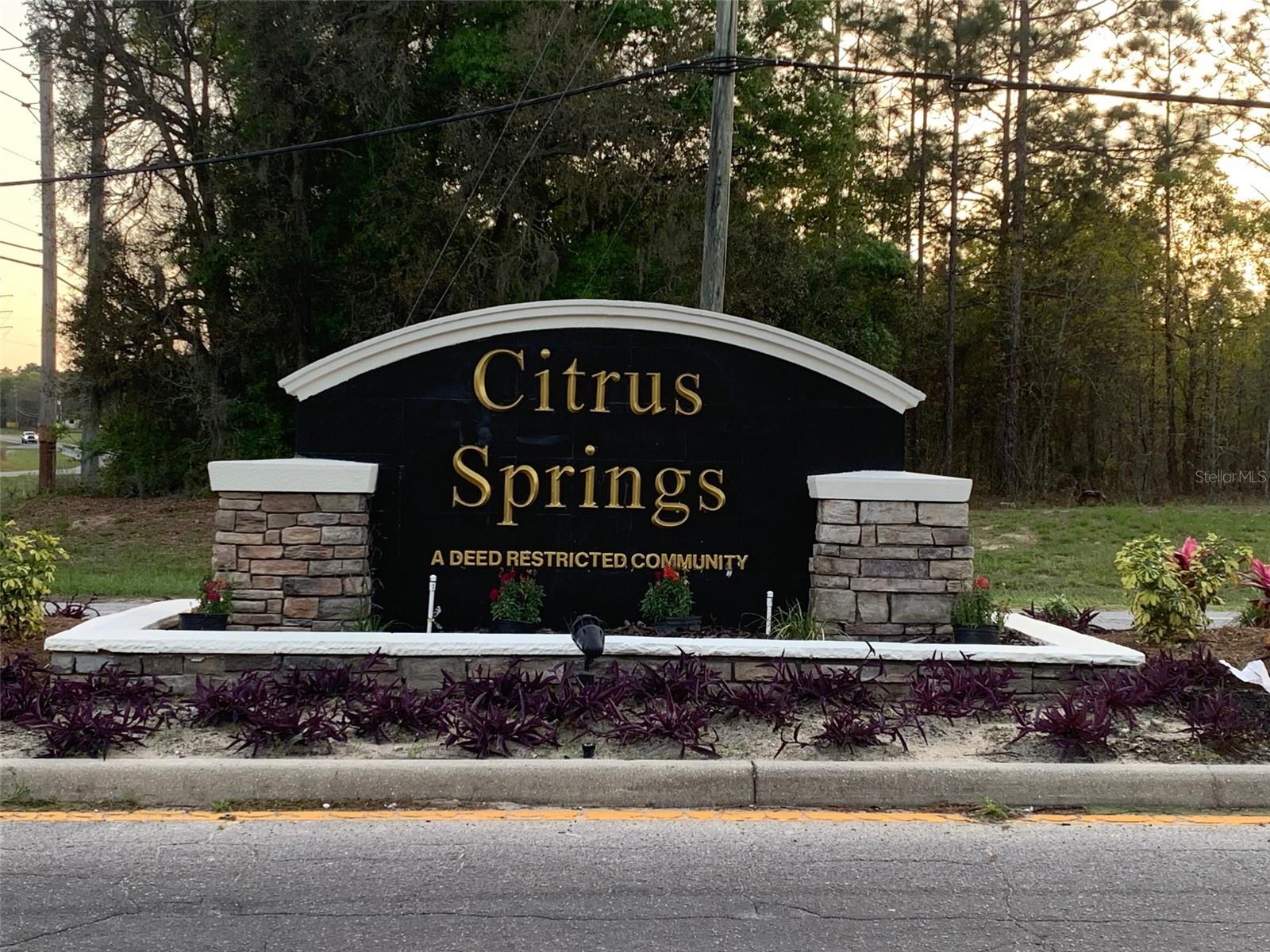 9198 N JUSTA DR, CITRUS SPRINGS, FL, 34433