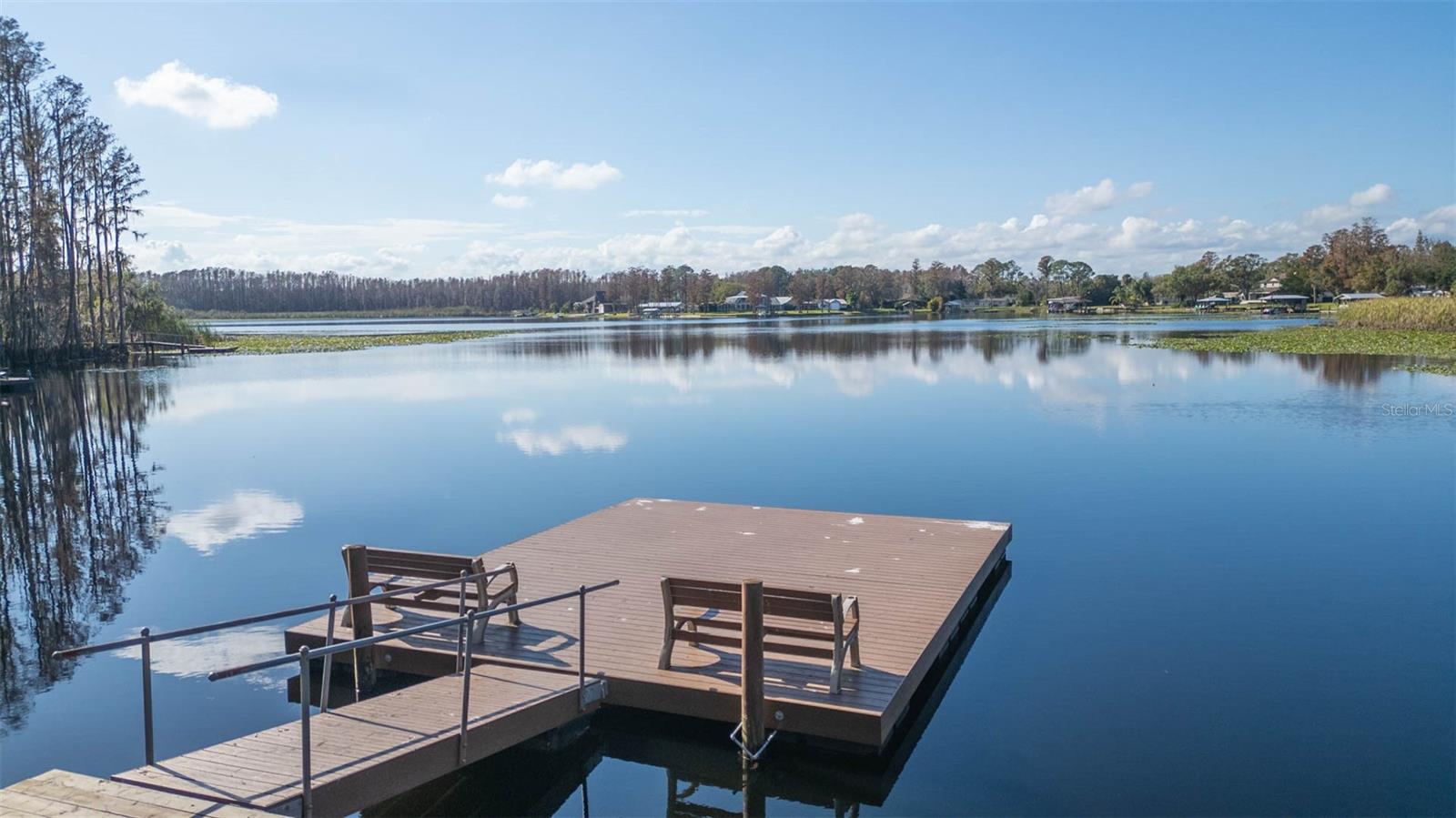 1731 HAMMOCKS AVE, LUTZ, FL, 33549