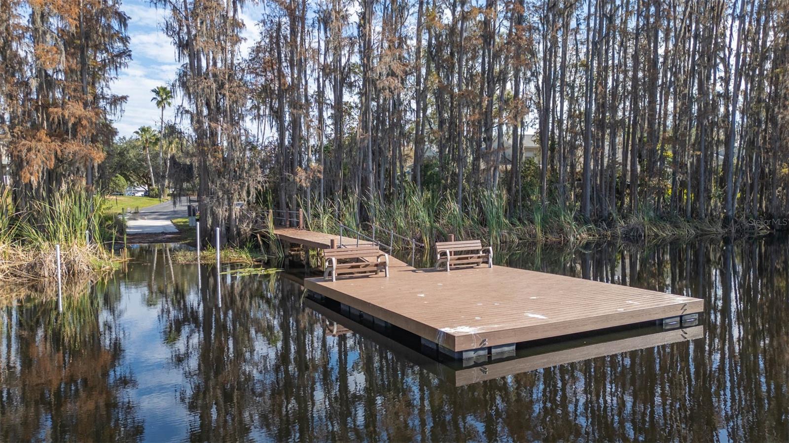 1731 HAMMOCKS AVE, LUTZ, FL, 33549