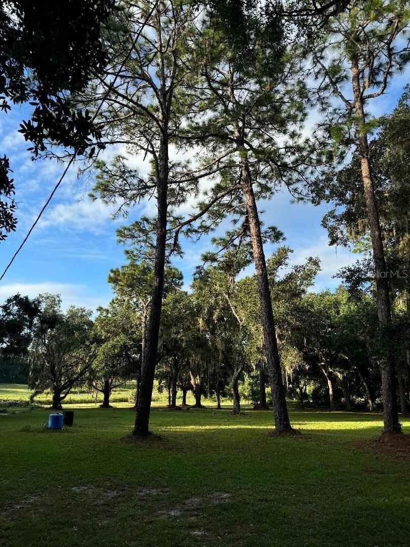 15370 SE 156TH PLACE RD, WEIRSDALE, FL, 32195