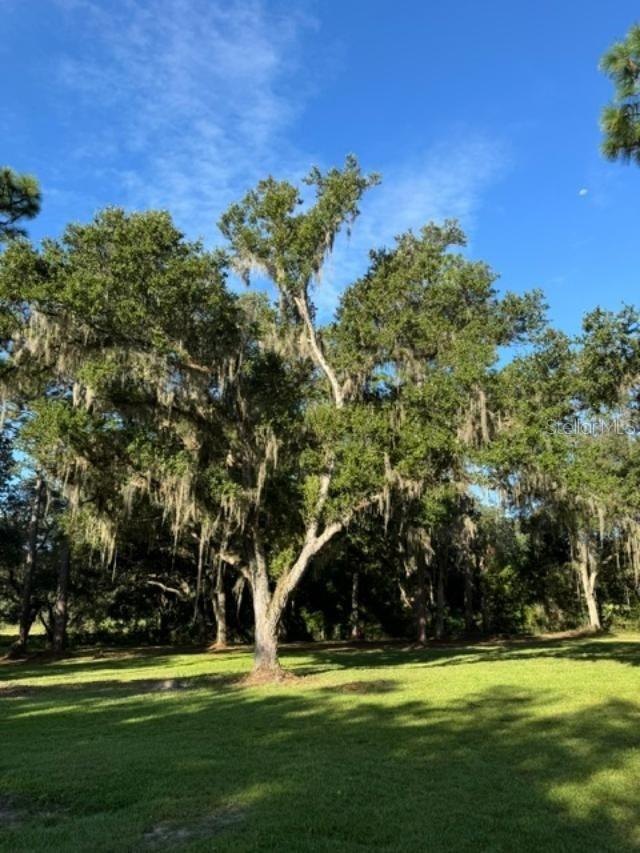 15370 SE 156TH PLACE RD, WEIRSDALE, FL, 32195