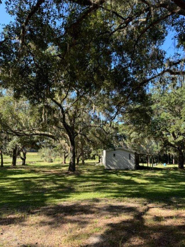 15370 SE 156TH PLACE RD, WEIRSDALE, FL, 32195