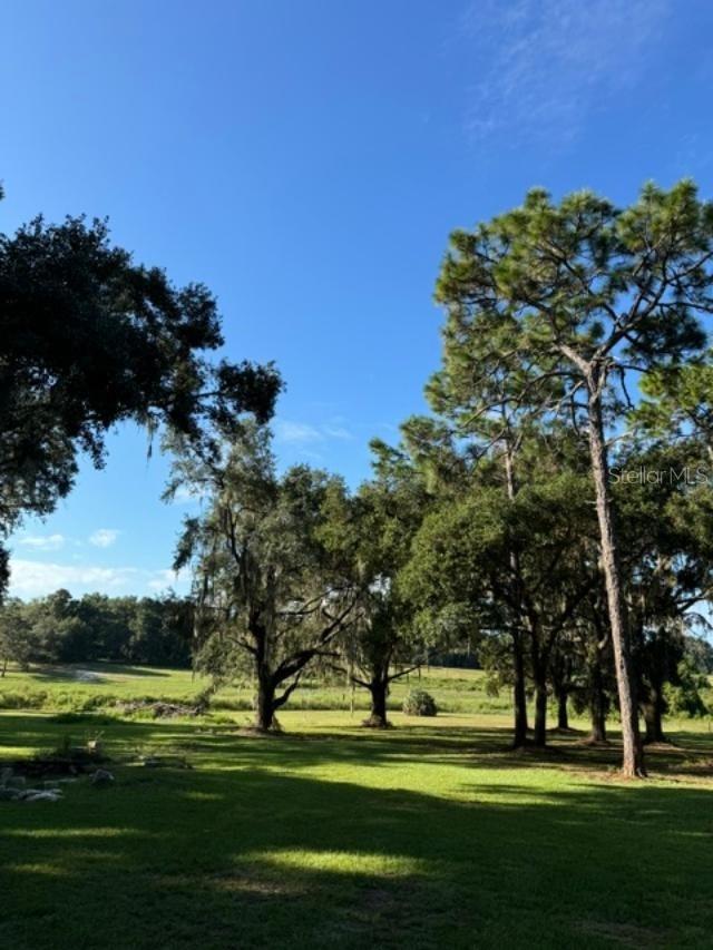 15370 SE 156TH PLACE RD, WEIRSDALE, FL, 32195