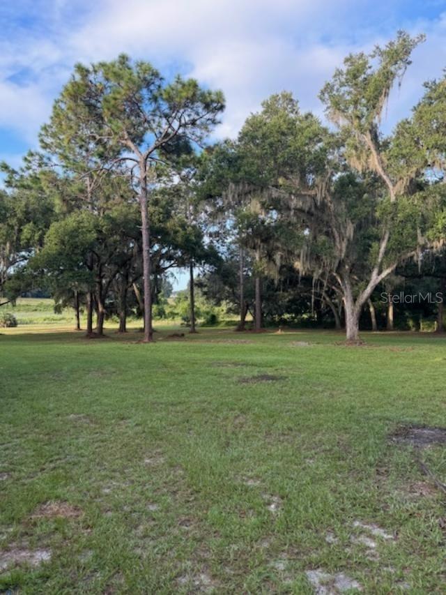 15370 SE 156TH PLACE RD, WEIRSDALE, FL, 32195