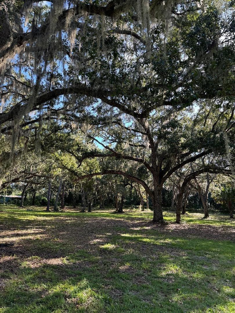 15370 SE 156TH PLACE RD, WEIRSDALE, FL, 32195
