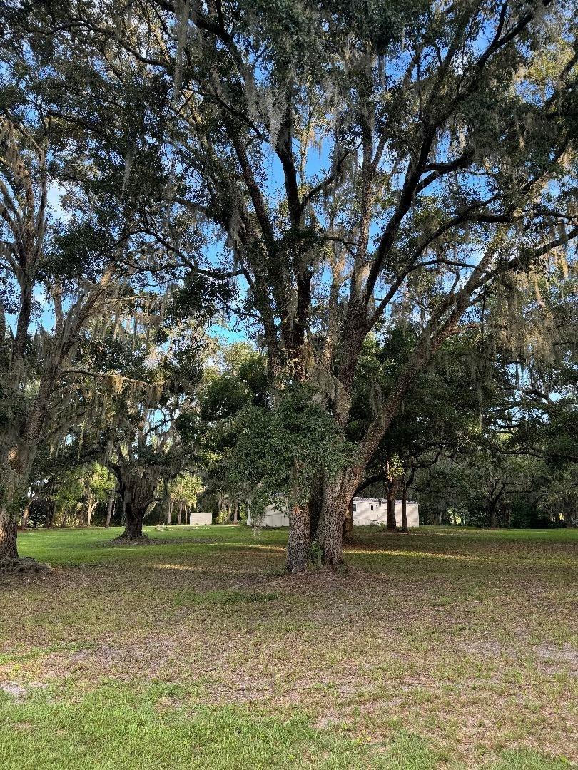 15370 SE 156TH PLACE RD, WEIRSDALE, FL, 32195