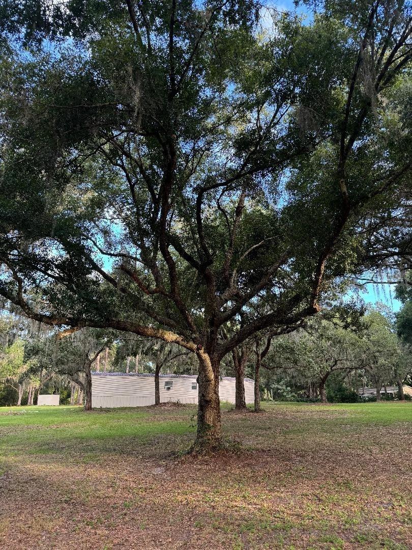 15370 SE 156TH PLACE RD, WEIRSDALE, FL, 32195