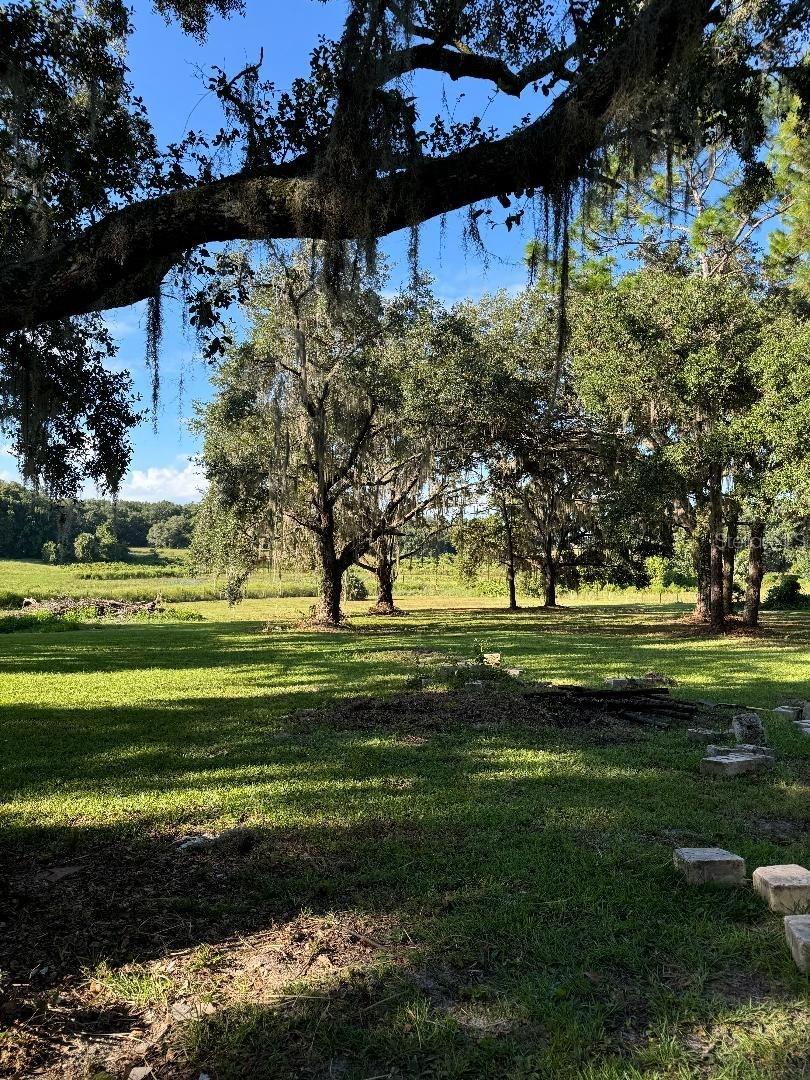 15370 SE 156TH PLACE RD, WEIRSDALE, FL, 32195