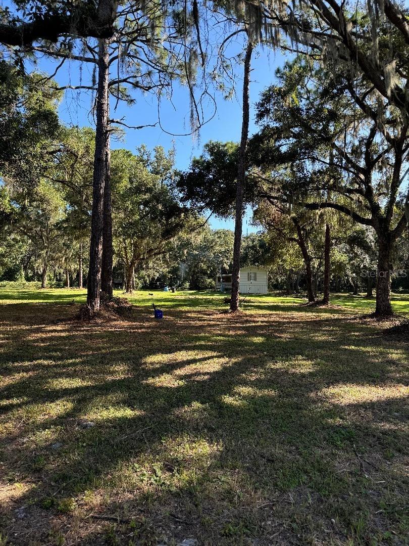 15370 SE 156TH PLACE RD, WEIRSDALE, FL, 32195