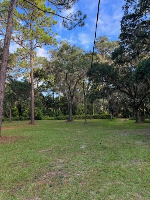 15370 SE 156TH PLACE RD, WEIRSDALE, FL, 32195