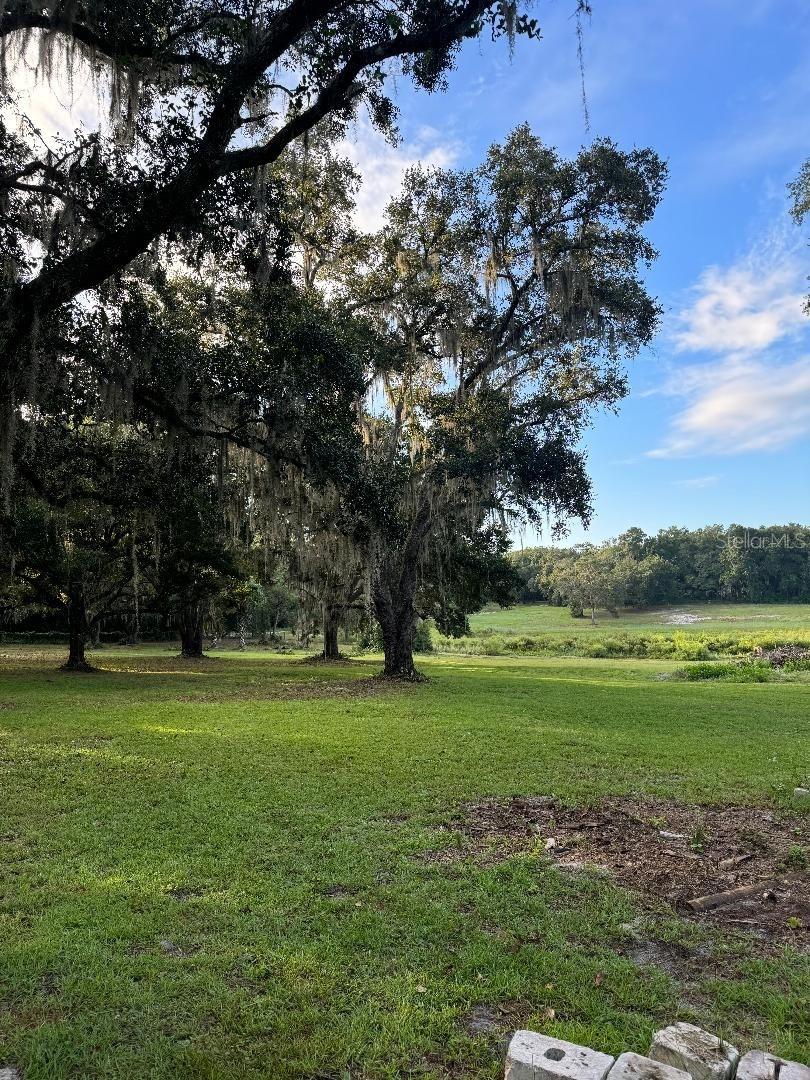 15370 SE 156TH PLACE RD, WEIRSDALE, FL, 32195