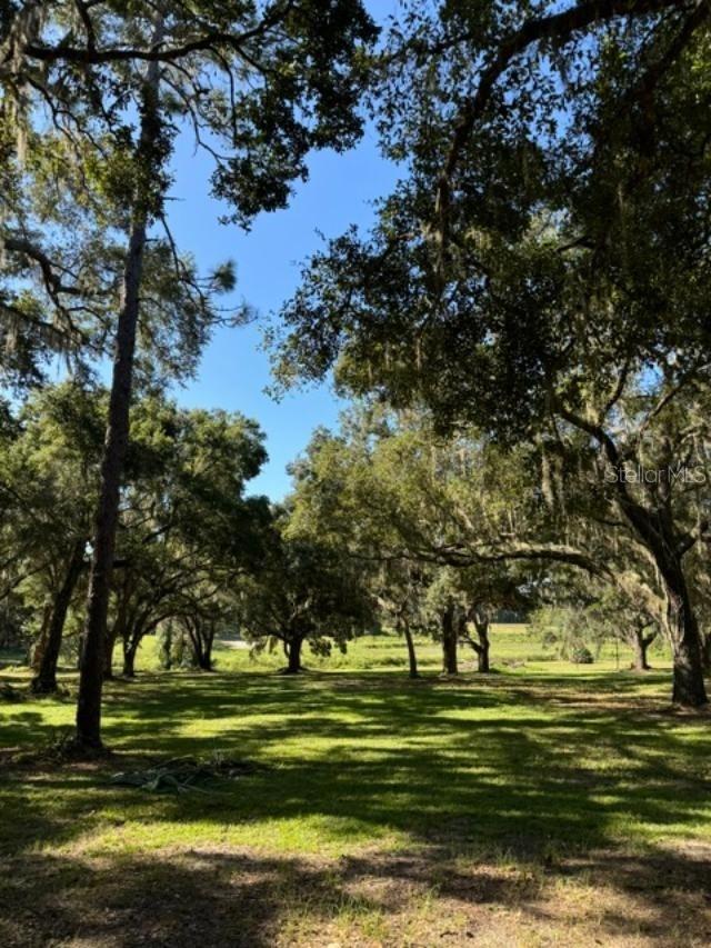 15370 SE 156TH PLACE RD, WEIRSDALE, FL, 32195