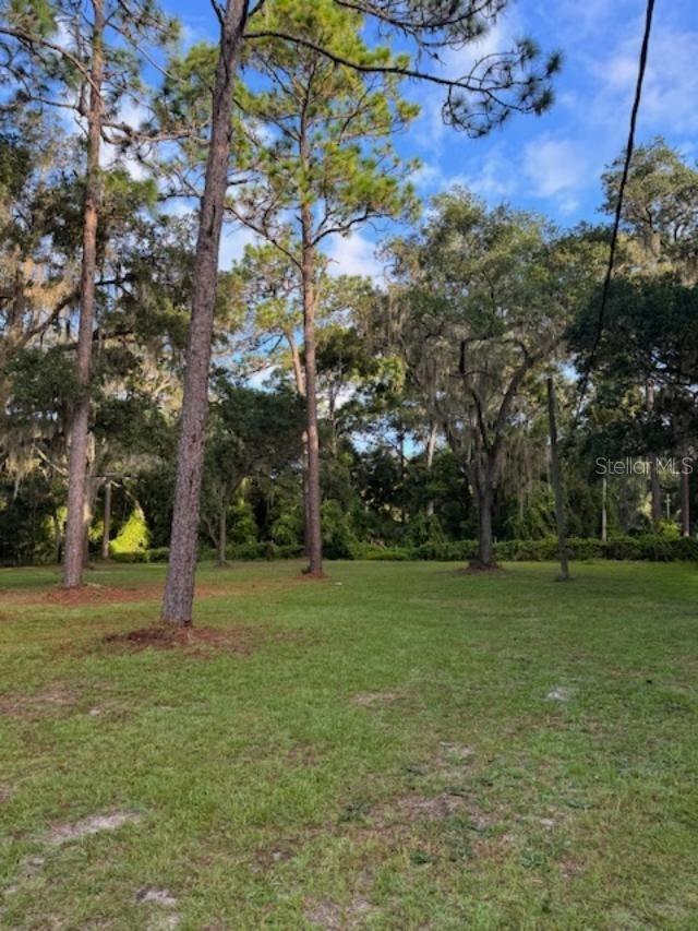15370 SE 156TH PLACE RD, WEIRSDALE, FL, 32195
