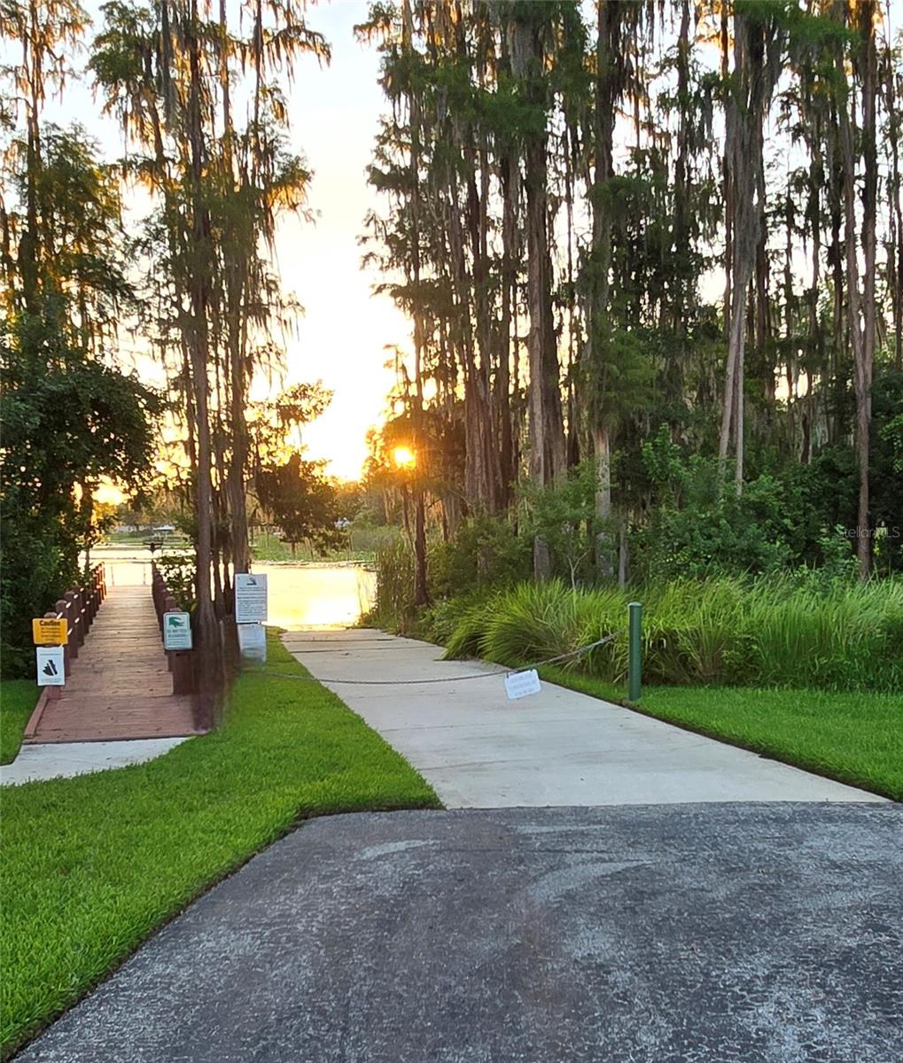 1712 HAMMOCKS AVE #0, LUTZ, FL, 33549