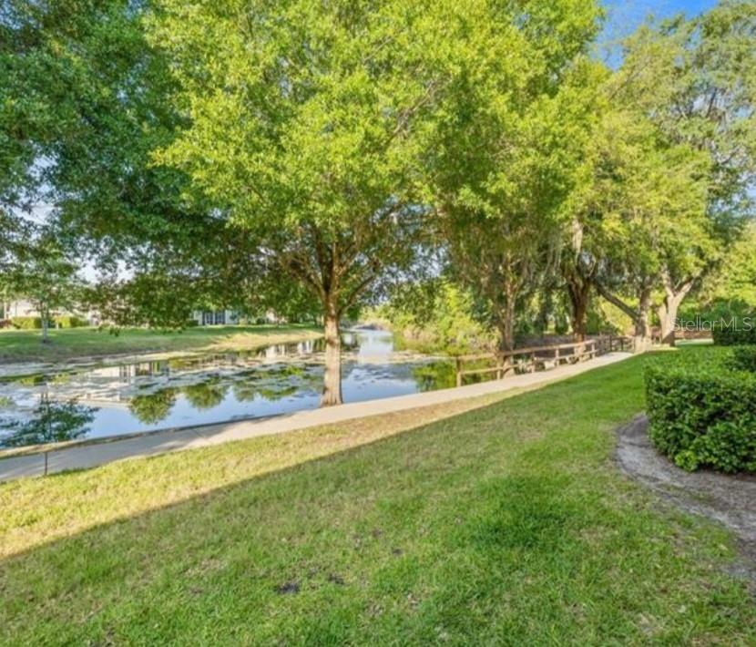 1712 HAMMOCKS AVE #0, LUTZ, FL, 33549