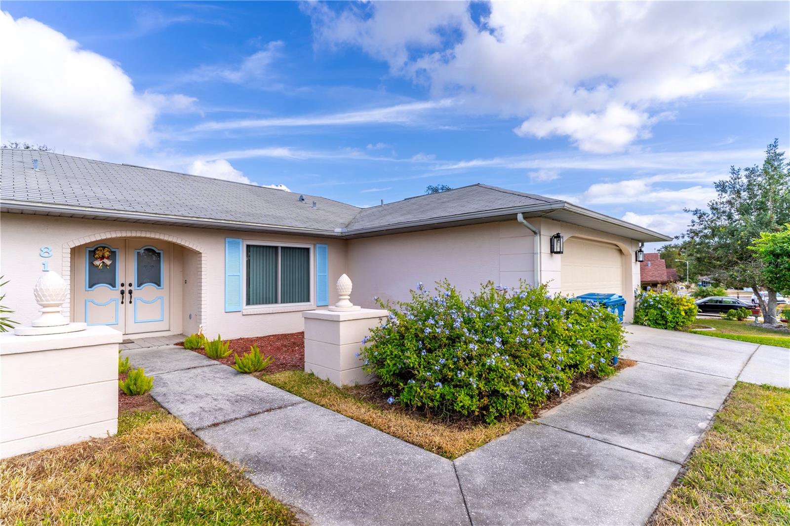 8105 SHALOM DR, SPRING HILL, FL, 34606