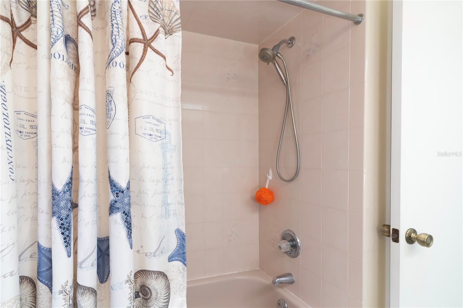 8105 SHALOM DR, SPRING HILL, FL, 34606