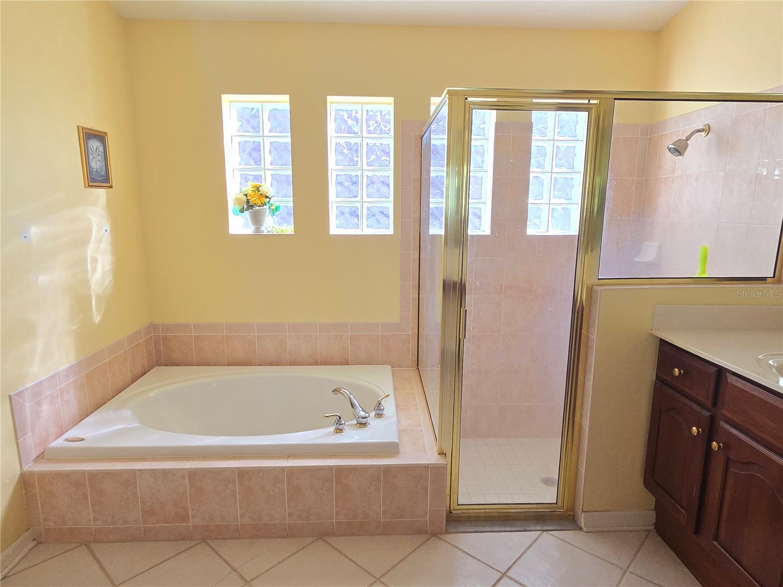 10410 RIVERBURN DR, TAMPA, FL, 33647