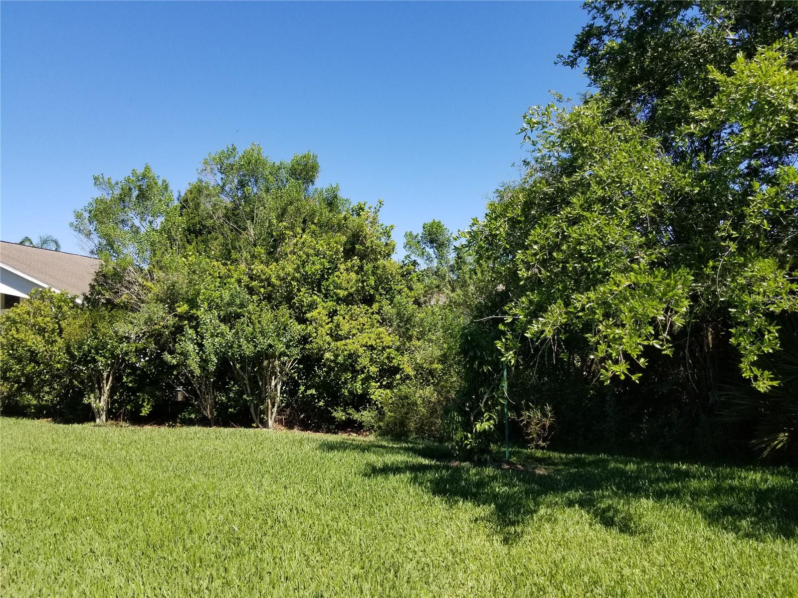 10410 RIVERBURN DR, TAMPA, FL, 33647