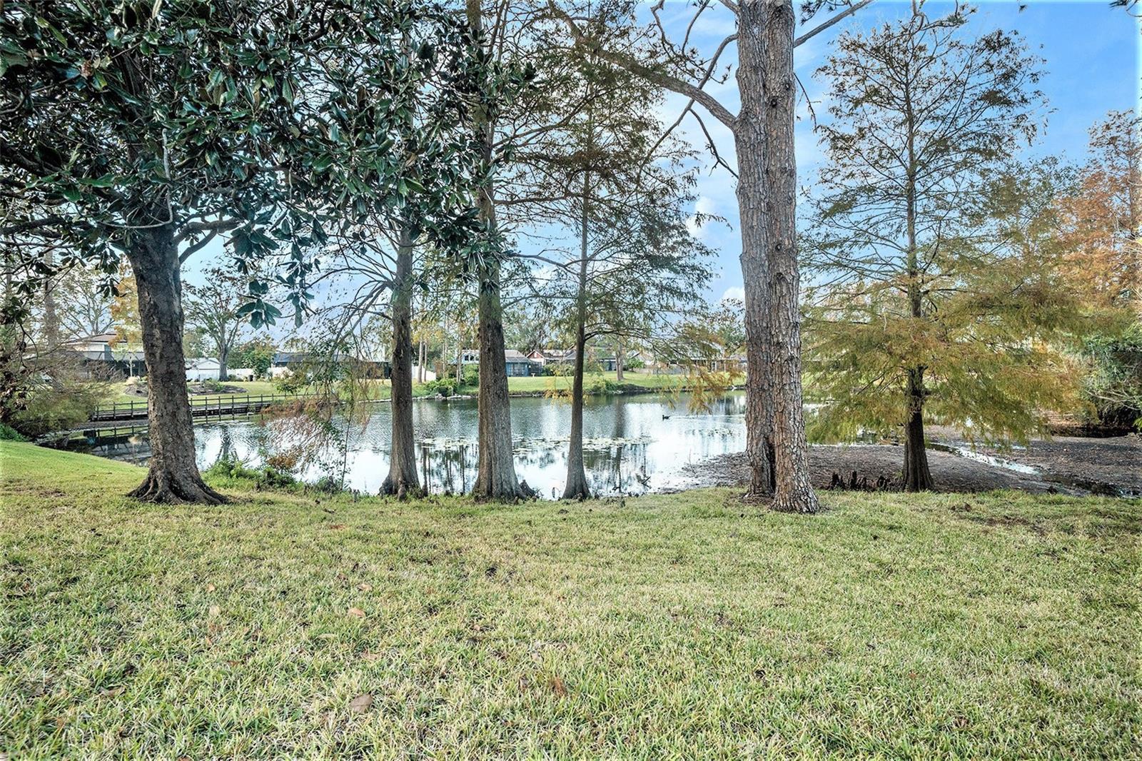 4107 DELLBROOK DR, TAMPA, FL, 33624