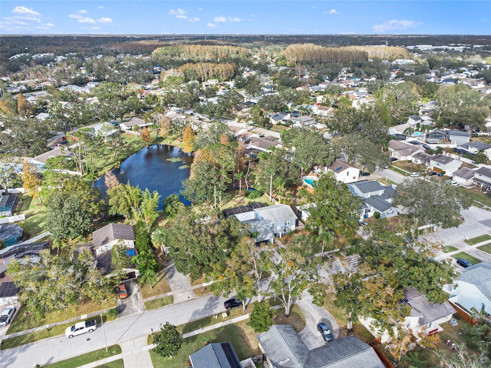 4107 DELLBROOK DR, TAMPA, FL, 33624