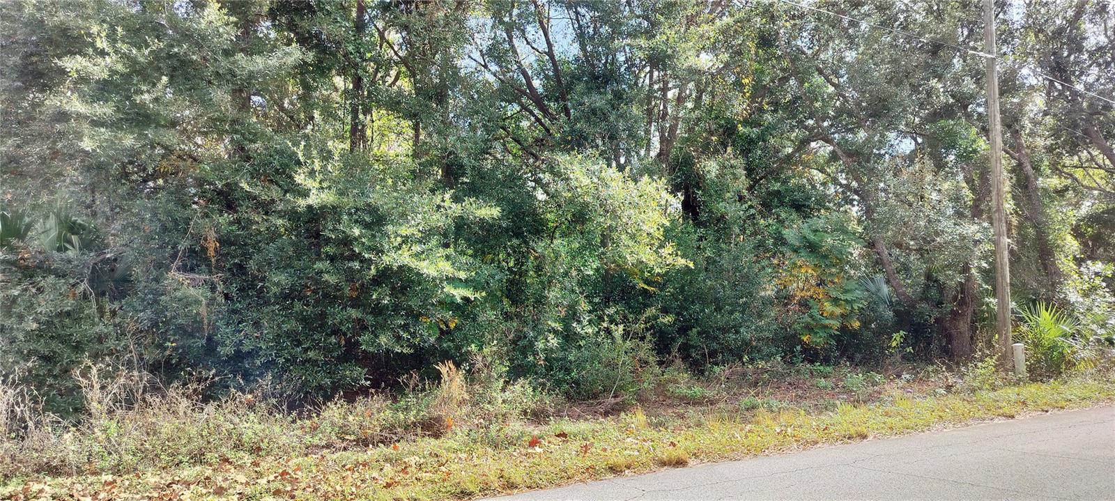 973 N MAYNARD AVE, LECANTO, FL, 34461