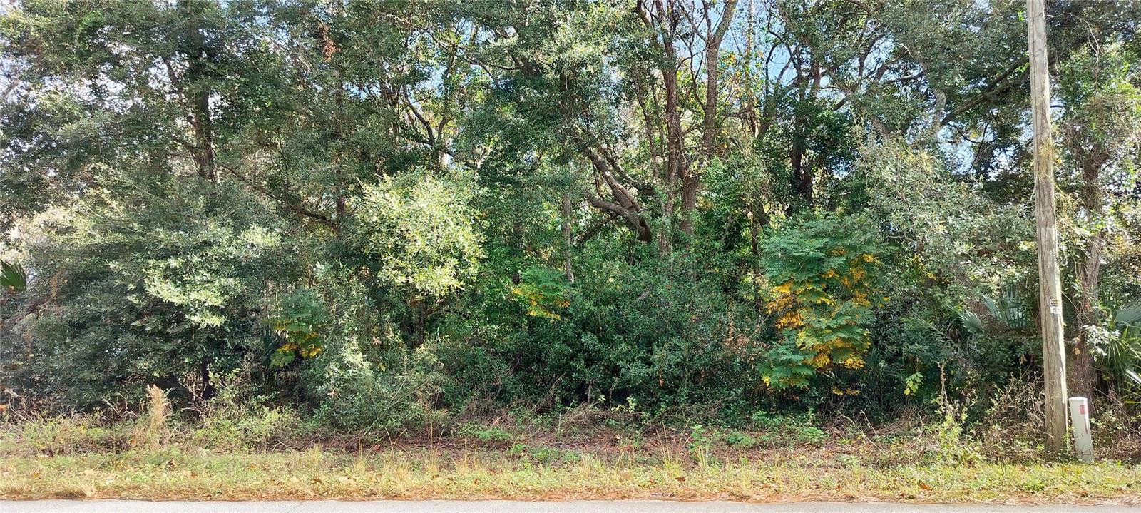 973 N MAYNARD AVE, LECANTO, FL, 34461