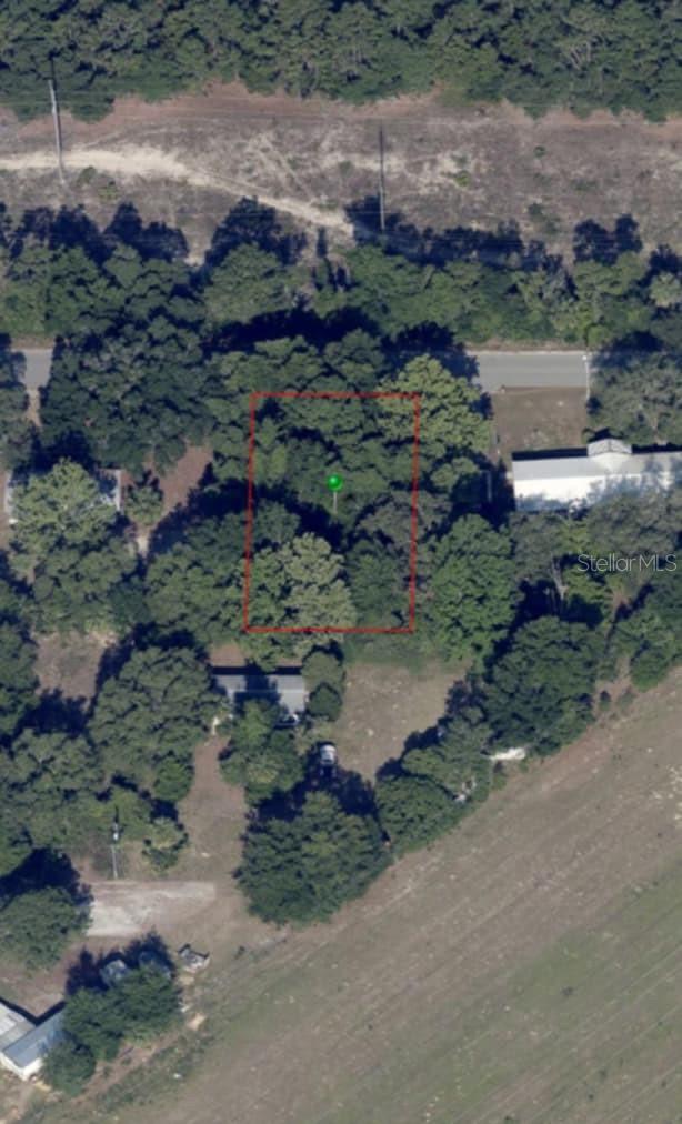 973 N MAYNARD AVE, LECANTO, FL, 34461