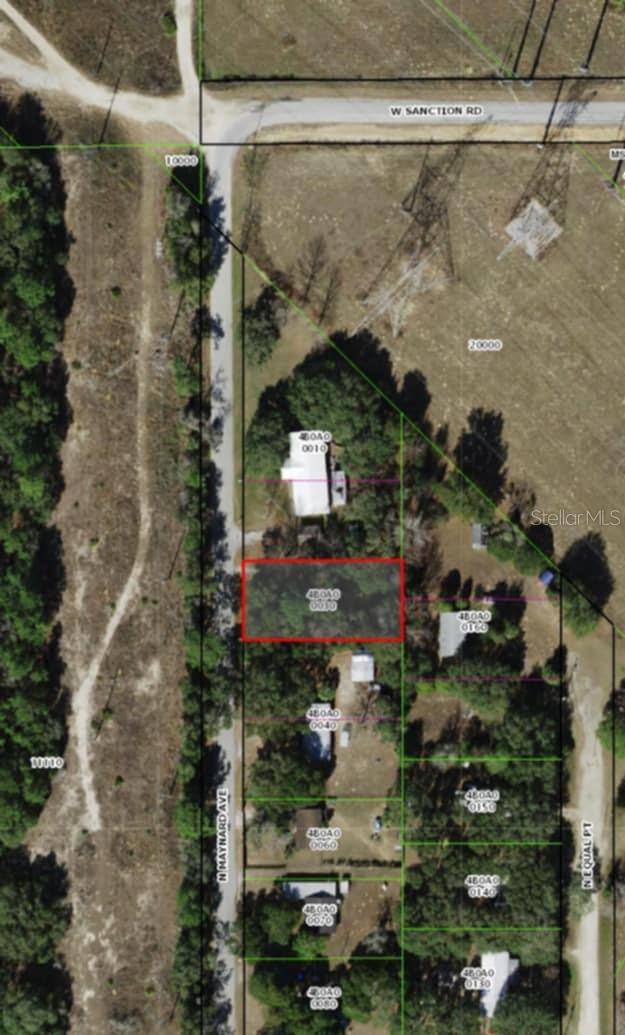 973 N MAYNARD AVE, LECANTO, FL, 34461