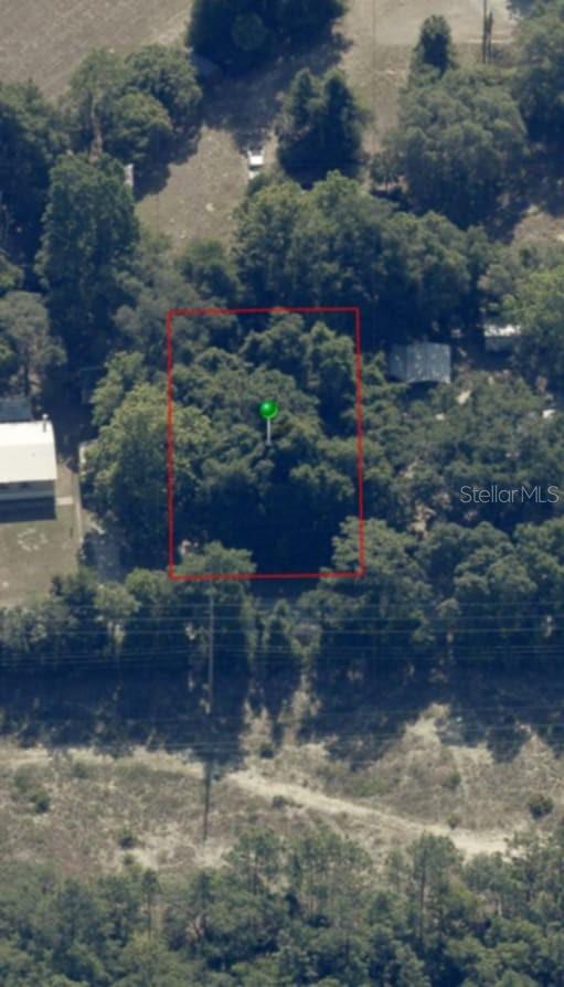 973 N MAYNARD AVE, LECANTO, FL, 34461