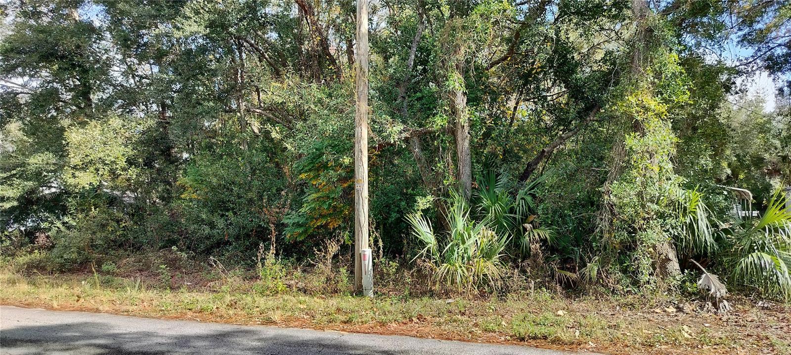 973 N MAYNARD AVE, LECANTO, FL, 34461
